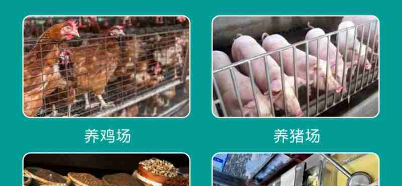 贾博涛与村民互动。(资料图)